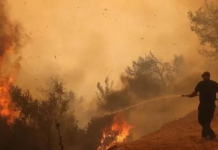 Fuertes vientos avivan feroces incendiøs forestales en Grecia y obligan a evacuaciones masivas