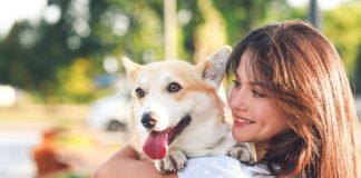 El origen evolutivo del amor por las mascotas: estudio revela que el vínculo con los animales precede a la humanidad