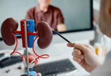 Científicos validan una terapia dual que supera el tratamiento estándar contra el carcïnoma renal de células claras