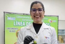 El IVIC avanza en el desarrollo de una nueva terapia con células madre para regenerar la piel en quemaduräs