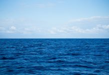 La temperatura media de la superficie marina alcanza un récord histórico de 21,1 grados globales