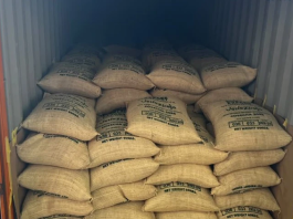 Exportación de café larense a Italia consolida el crecimiento del sector agroproductivo