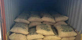 Exportación de café larense a Italia consolida el crecimiento del sector agroproductivo