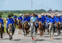¡Histórico! Realizan en Apure el arreo de ganado más grande de Venezuela y América Latina con más de 6 mil mautes