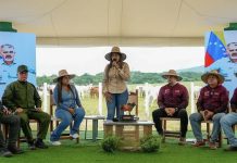 Despliegan en Bolívar el Plan Nacional de Caracterización del Ganado Bovino 2026 para impulsar la exportación (+ Fotos)