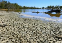 El fenómeno de la sequía se vuelve más gravë y críticø tras acumular más de veinte días consecutivos sin lluvias