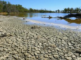 El fenómeno de la sequía se vuelve más gravë y críticø tras acumular más de veinte días consecutivos sin lluvias