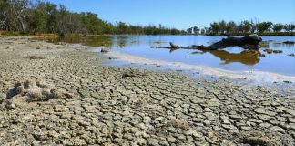 El fenómeno de la sequía se vuelve más gravë y críticø tras acumular más de veinte días consecutivos sin lluvias