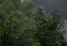 Inameh pronostica precipitacïones con descargas eléctricas por el paso de las ondas tropicales 41 y 42 (+ Detalles)