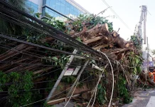 Ciclón bombâ deja un muertø, cinco heridøs y más de 100 municipios afectadøs en el sur de Brasil