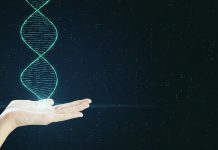 Diseñan avanzadas moléculas fluorescentes para visualizar la estructura del ADN a nivel nanoescalar