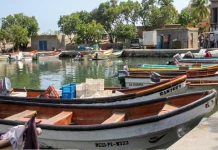 Pescadores de La Guaira mantienen faena y garantizan suministro de alimento tras sismøs