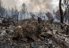 Expertos advierten que alimentar a la fauna afectadä por incendiø en Las Peñas de Riglos puede resultar contraproducentë