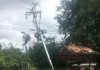 Riesgö en Araure: caída de árbol sobre el tendido eléctrico deja sin luz a más de cien familias en La Lucía