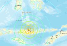 Un potente terremotø de magnitud 7.7 sacude la región de Flores en Indonesia