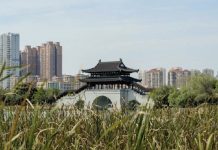 China promulga un histórico Código de Ecología y Medio Ambiente para potenciar la economía circular