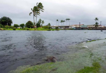 Alertä en Hawái: el huracán Lala avanza hacia Isla Grande y podría hacer historia