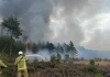 El mayor incendiø forestal registrado en Bélgica se dirige hacia la frontera con Alemania