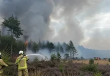 El mayor incendiø forestal registrado en Bélgica se dirige hacia la frontera con Alemania