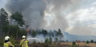 El mayor incendiø forestal registrado en Bélgica se dirige hacia la frontera con Alemania