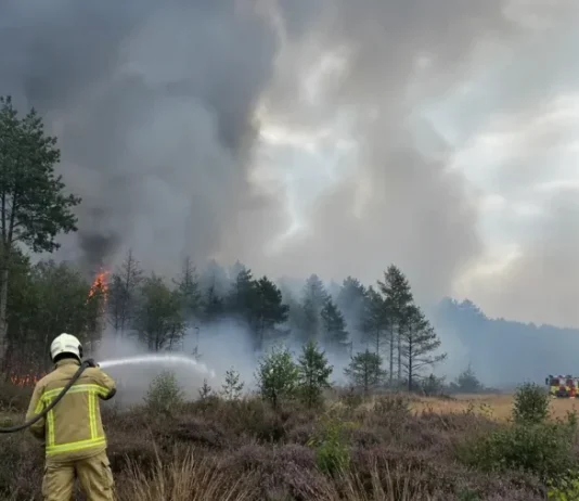 El mayor incendiø forestal registrado en Bélgica se dirige hacia la frontera con Alemania