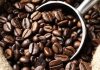 Café y cacao venezolanos se perfilan como motores de la oferta exportadora no petrolera