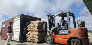 Lara consolida su motor exportador con el envío de 19 toneladas de café verde a EE.UU.