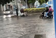 Llueve y las calles se inundan: fuerte aguacero en el centro de Maracay genera alertä vial (+ Video)