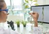 Desarrollan transistores biológicos en bacterias para crear plantas inteligentes
