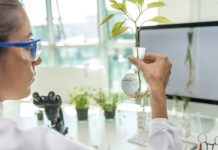 Desarrollan transistores biológicos en bacterias para permitir que las plantas procesen información de su entorno