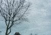 Un intenso temporal de viento y granizo causa severos dañøs en el sur de Santa Fe, Argentina