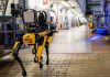 EE.UU. invertirá dos millones de dólares en perros robot para la vigilancia de operativos migratorios