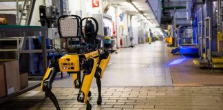 EE.UU. invertirá dos millones de dólares en perros robot para la vigilancia de operativos migratorios