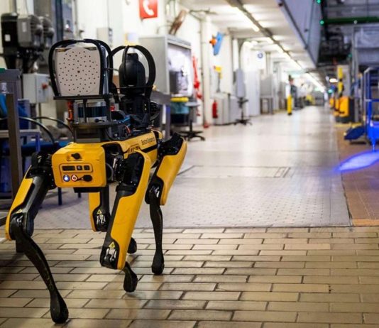 EE.UU. invertirá dos millones de dólares en perros robot para la vigilancia de operativos migratorios