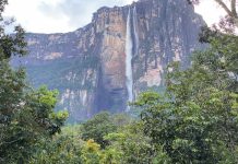 Inician plan ambiental para proteger el Parque Nacional Canaima y el río Caroní