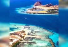 Aguas cristalinas y paisajes de ensueño convierten a Los Roques en el destino por excelencia para el descanso y la aventura (+ Fotos)