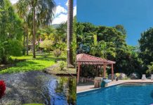 Conéctate con la magia del mar Caribe y la naturaleza en Arakemo Posada, un referente de hospitalidad y turismo sostenible en las costas de Aragua (+ Fotos)