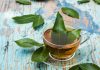 El poder oculto de las hojas de guayaba: conoce los beneficios de su infusión para la salud digestiva y el bienestar natural