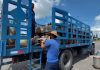 Atienden a más de 200 familias con distribución de gas doméstico en el municipio Araure
