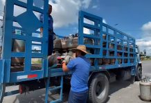 Atienden a más de 200 familias con distribución de gas doméstico en el municipio Araure