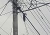 Habitantes del sector Gonzalo Barrios en Acarigua denuncian que tienen más de 30 horas sin servicio eléctrico tras ruptura de guayas (+ Fotos)