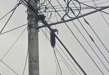 Habitantes del sector Gonzalo Barrios en Acarigua denuncian que tienen más de 30 horas sin servicio eléctrico tras ruptura de guayas (+ Fotos)