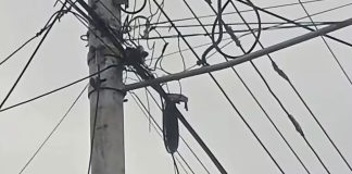 Habitantes del sector Gonzalo Barrios en Acarigua denuncian que tienen más de 30 horas sin servicio eléctrico tras ruptura de guayas (+ Fotos)