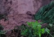 Deslizamiento de tierra y acumulación de sedimentos obstruye el paso vehicular en la vía principal de Carrizal (+ Video)