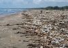 Denuncian gravë acumulación de plásticos en las playas de Higuerote tras intensas lluvias en Caracas