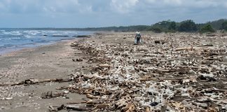 Denuncian gravë acumulación de plásticos en las playas de Higuerote tras intensas lluvias en Caracas