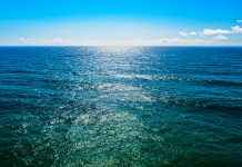 Temperatura de la superficie global del mar alcanza récord histórico inusual durante agosto