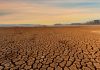 Calor extremo y sequía severa impactan negativamente las cosechas de verano en Europa