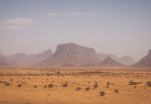 Expertos del IVIC explican por qué las micropartículas del polvo del Sahara resultan más peligrosas para la salud que el polvo de los sismös