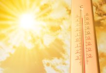 Grecia enfrenta sëvera ola de calor e incendiøs forëstales que devästan más de 30.000 hectáreas